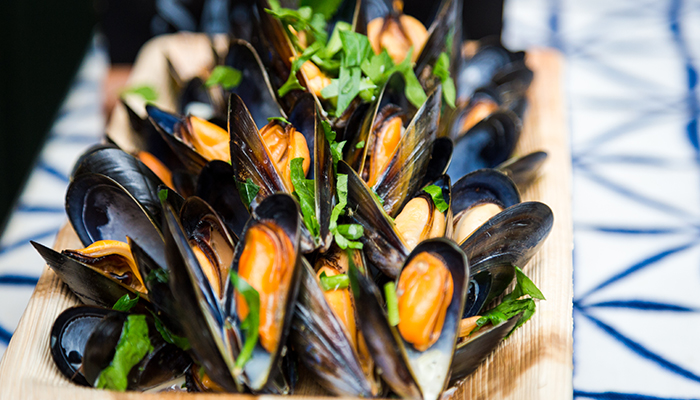 an image of mussels